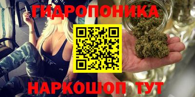 a pvp Шебекино