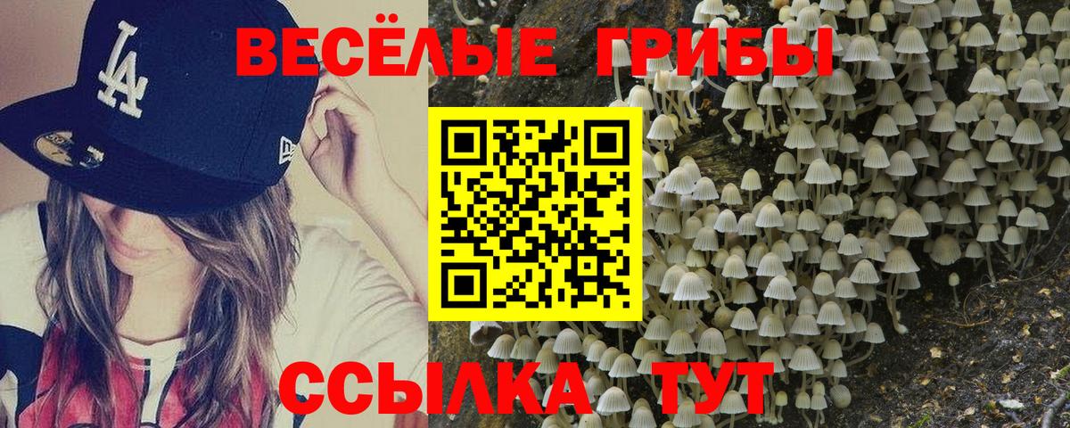 Большой Камень  закладка  Вход с VPN  Псилоцибиновые грибы прущие грибы 