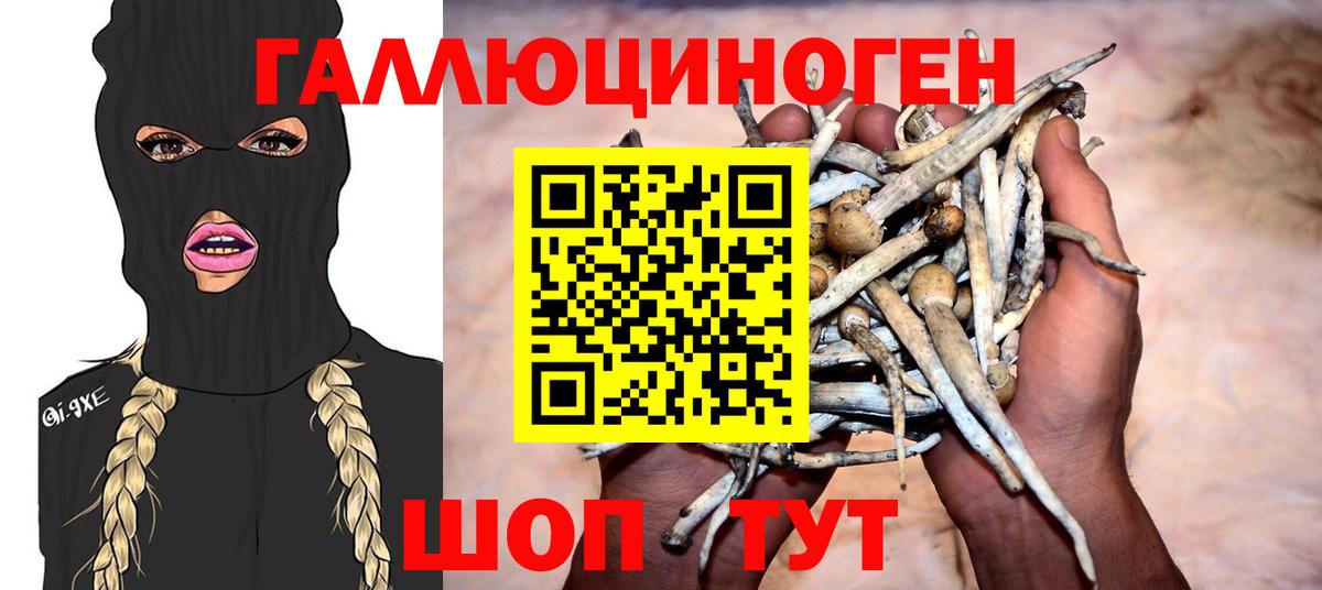 Псилоцибиновые грибы MAGIC MUSHROOMS Большой Камень
